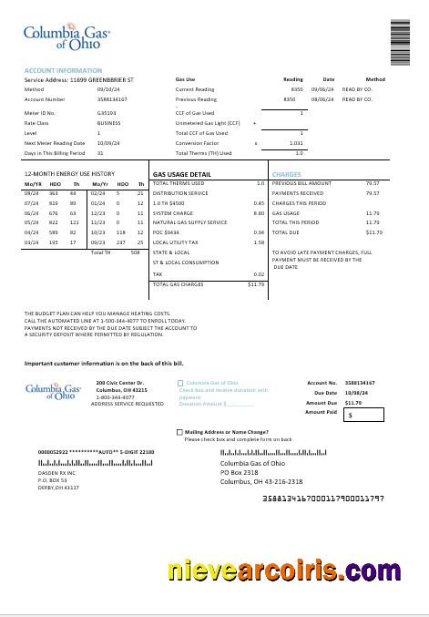 USA Columbia Gas of Ohio business utility bill